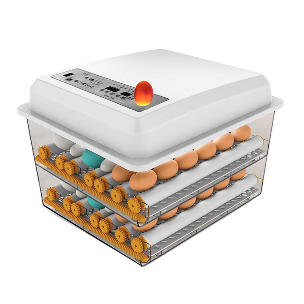 Incubadora de 100 huevos Rotacion automatica