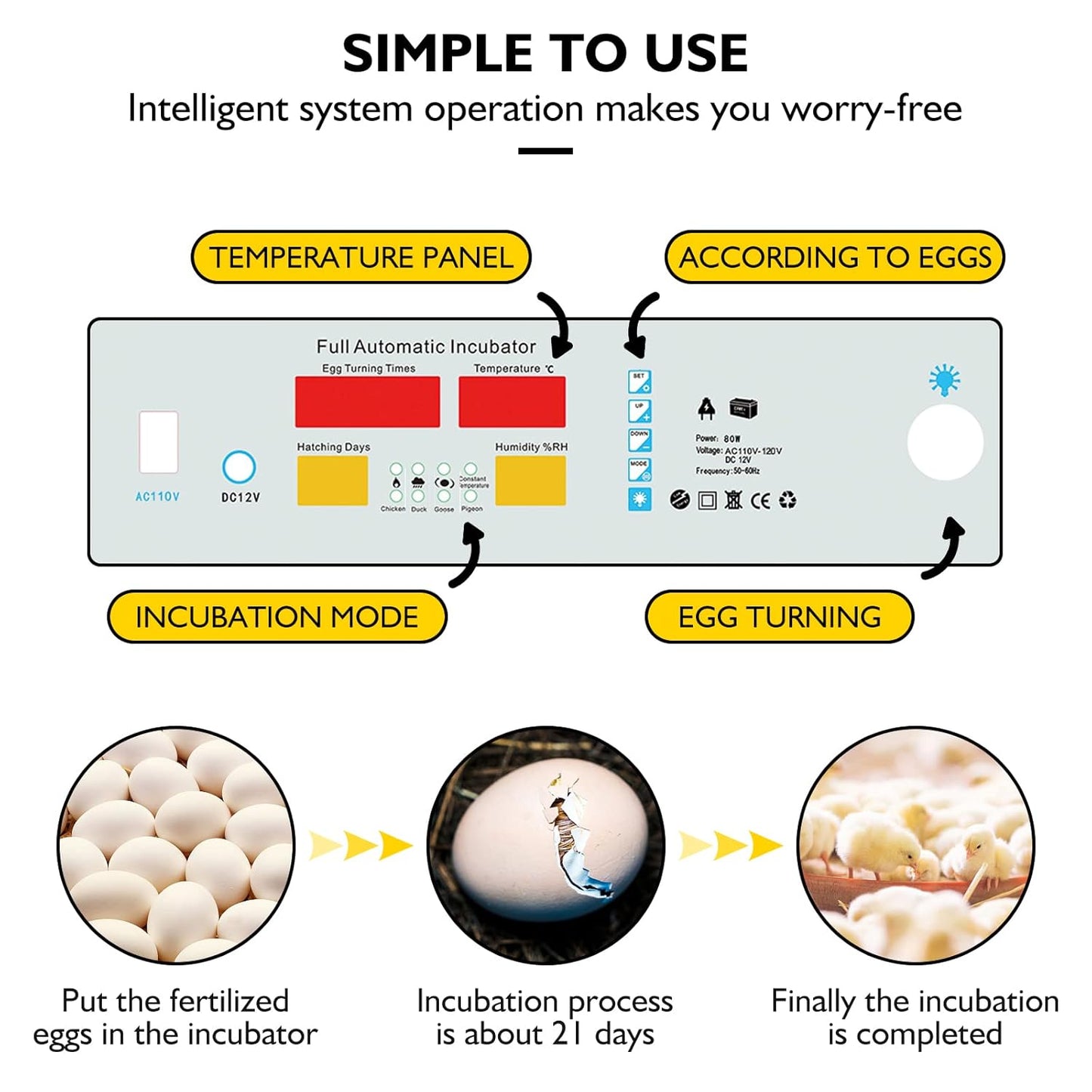 Incubadora de 100 huevos Rotacion automatica