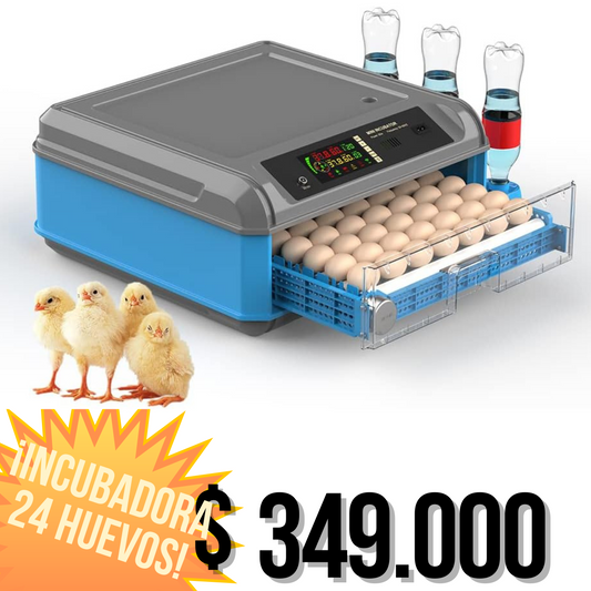 incubadora de 24 huevos