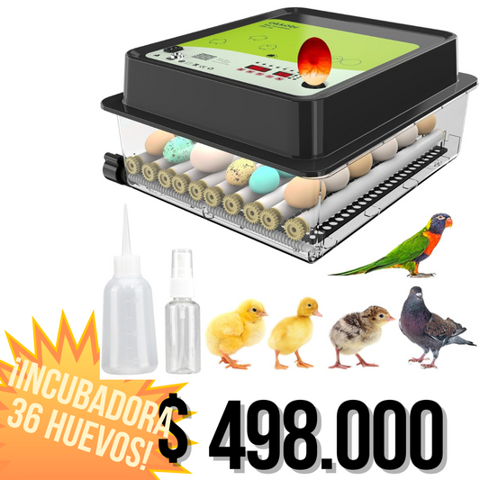 Incubadora de 36 huevos rotación automática