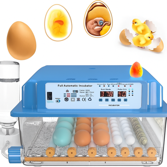 Incubadora de 36 huevos rotación automática