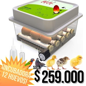 Incubadora De 12 Huevos Con Giro Automatico