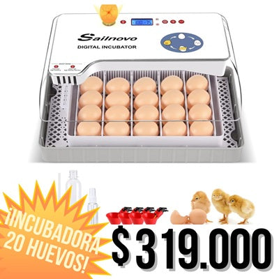 Incubadora de 20 huevos rotacion automatica