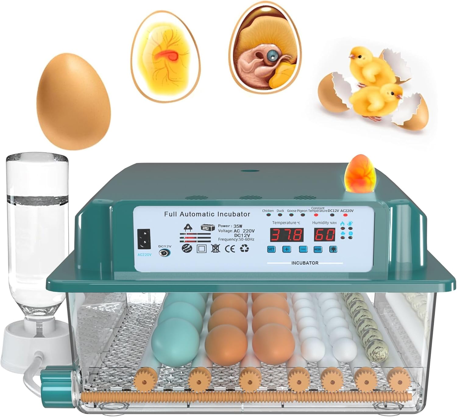 Incubadora de 36 huevos rotación automática