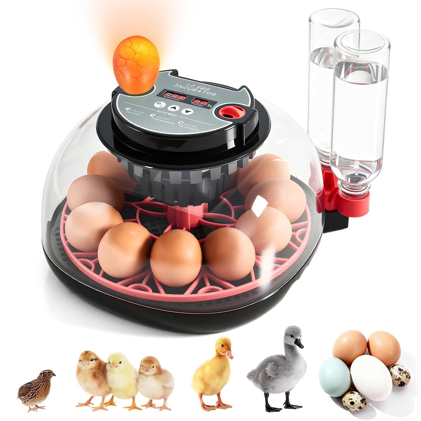 INCUBADORA 12 HUEVOS | ROTACIÓN AUTOMÁTICA Y CONTROL DIGITAL
