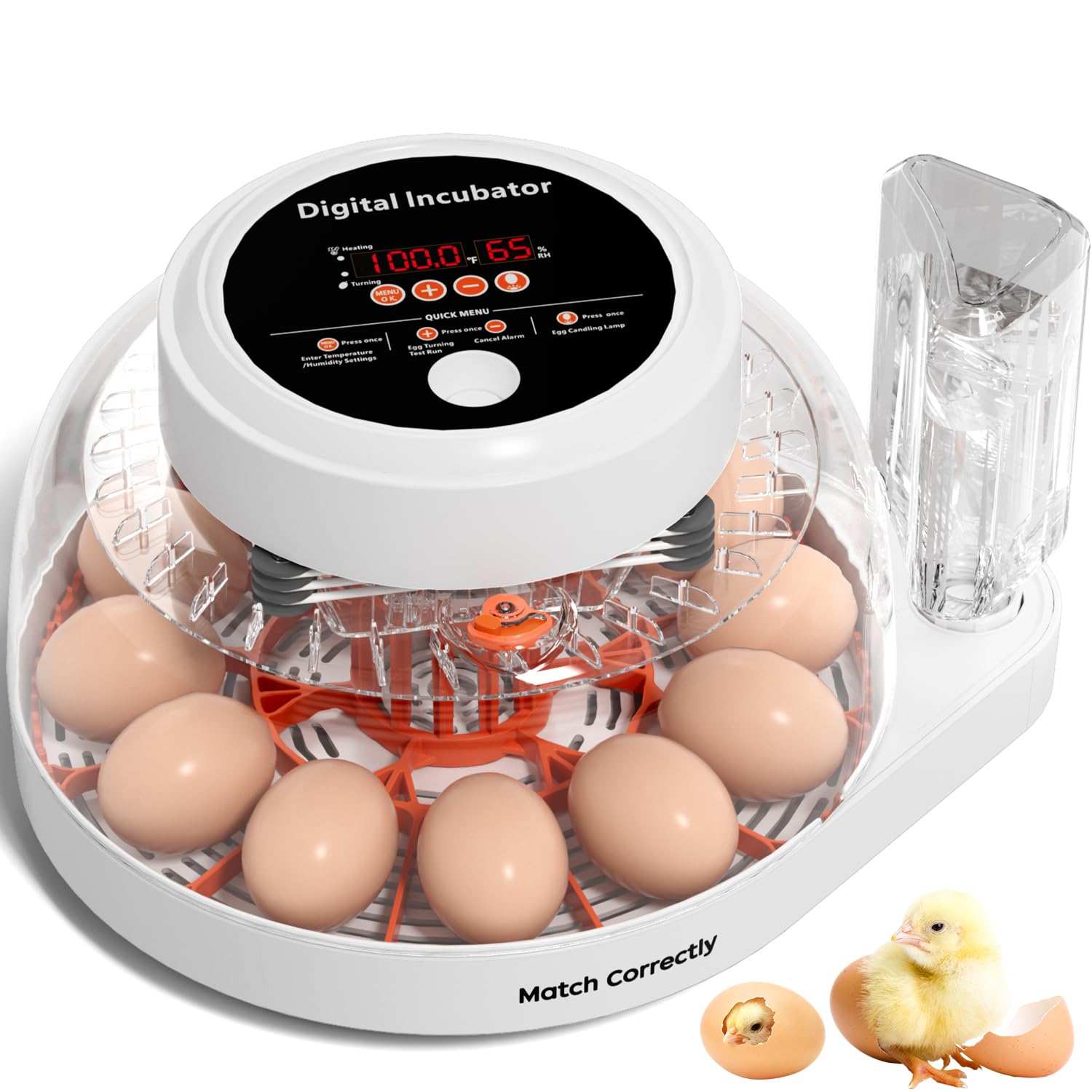 Incubadora de 12 huevos giro automatico