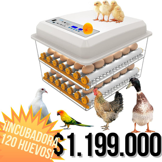 Incubadora de 120 huevos con rotacion automatica