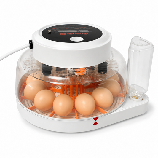 INCUBADORA 12 HUEVOS | ROTACIÓN AUTOMÁTICA Y CONTROL DIGITAL