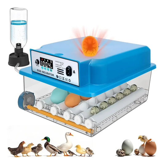 incubadora de 16 huevos rotación automática