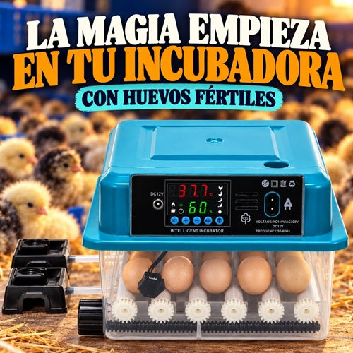 INCUBADORA 16 HUEVOS | ROTACION AUTOMATICA CONTROL DE TEMPERATURA Y HUMEDAD