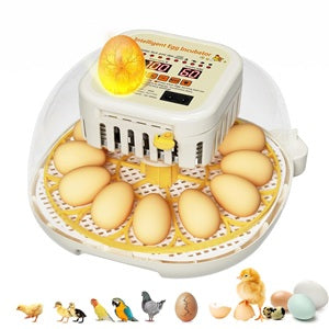 Incubadora De 12 Huevos Con Giro Automatico